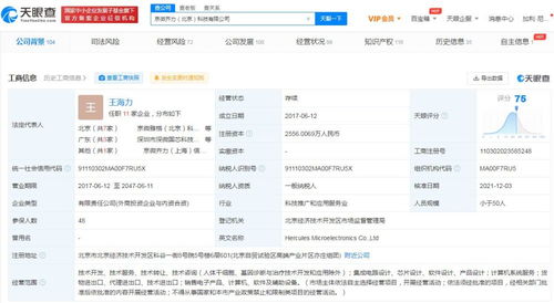 信息系統集成服務 構建數字化未來的橋梁
